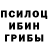 Псилоцибиновые грибы прущие грибы R. KISHORE